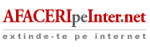 afaceri pe internet ,web design,promovare,analiza trafic,